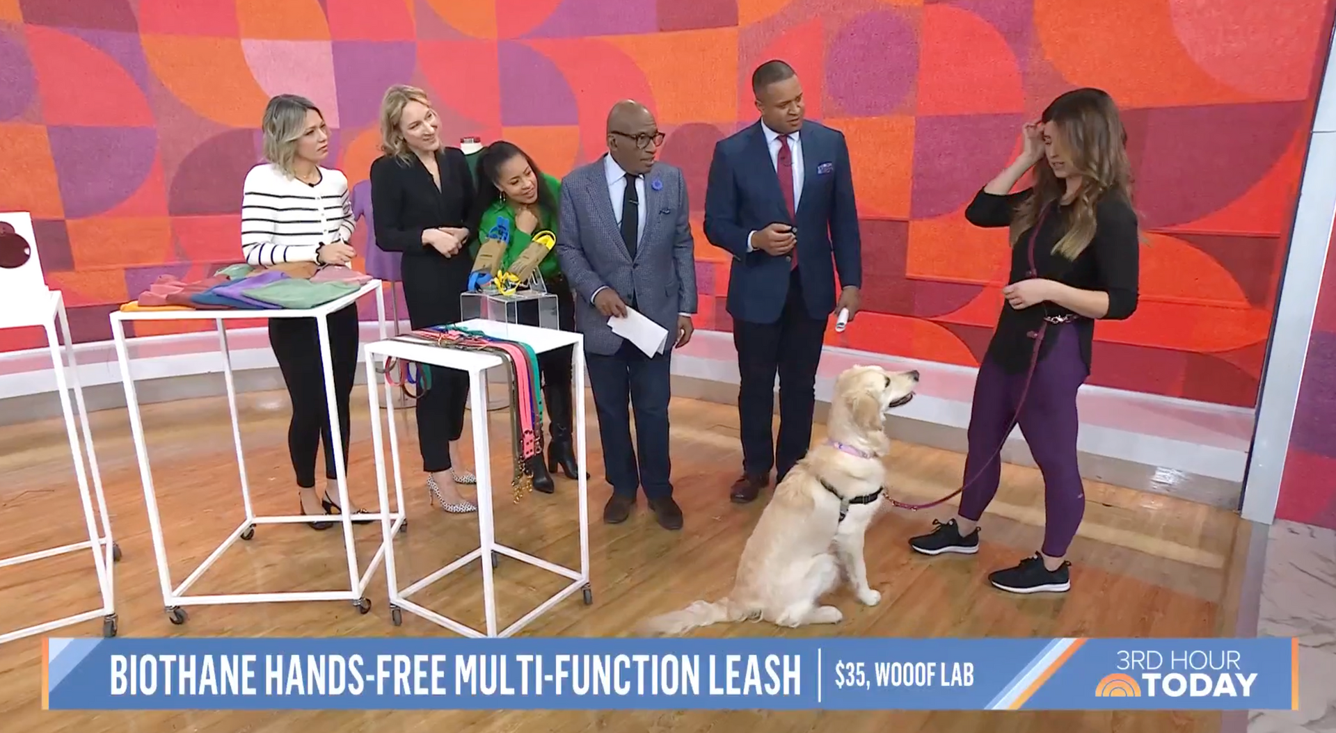 Load video: WOOOF LAB ON THE TODAY SHOW