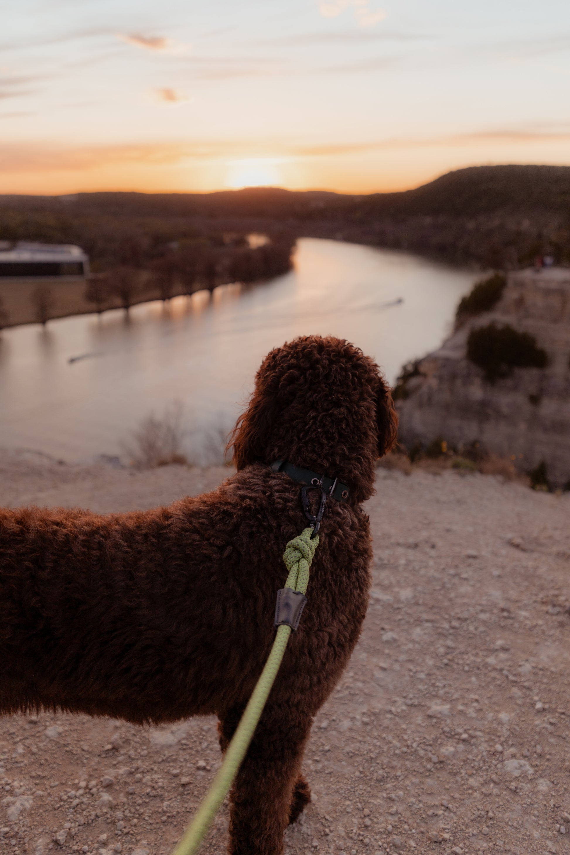 Adventure Rope Leash- Woooflab WooofLab