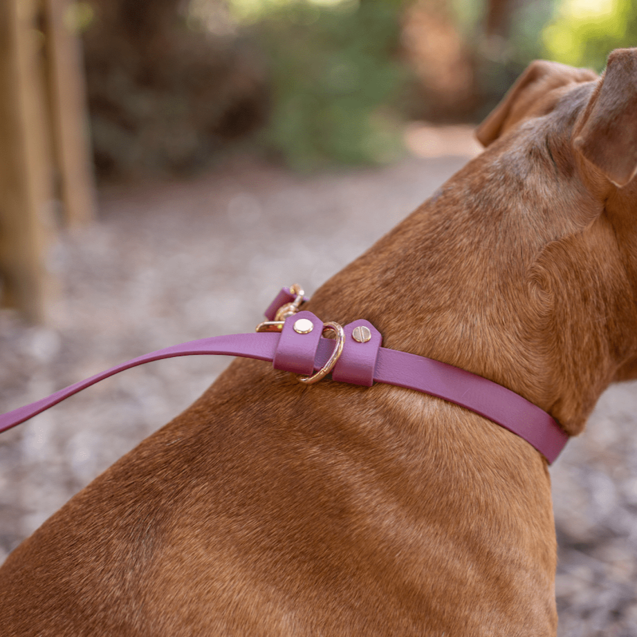 BioThane Hands-Free Multi-Function 7Way Leash WooofLab